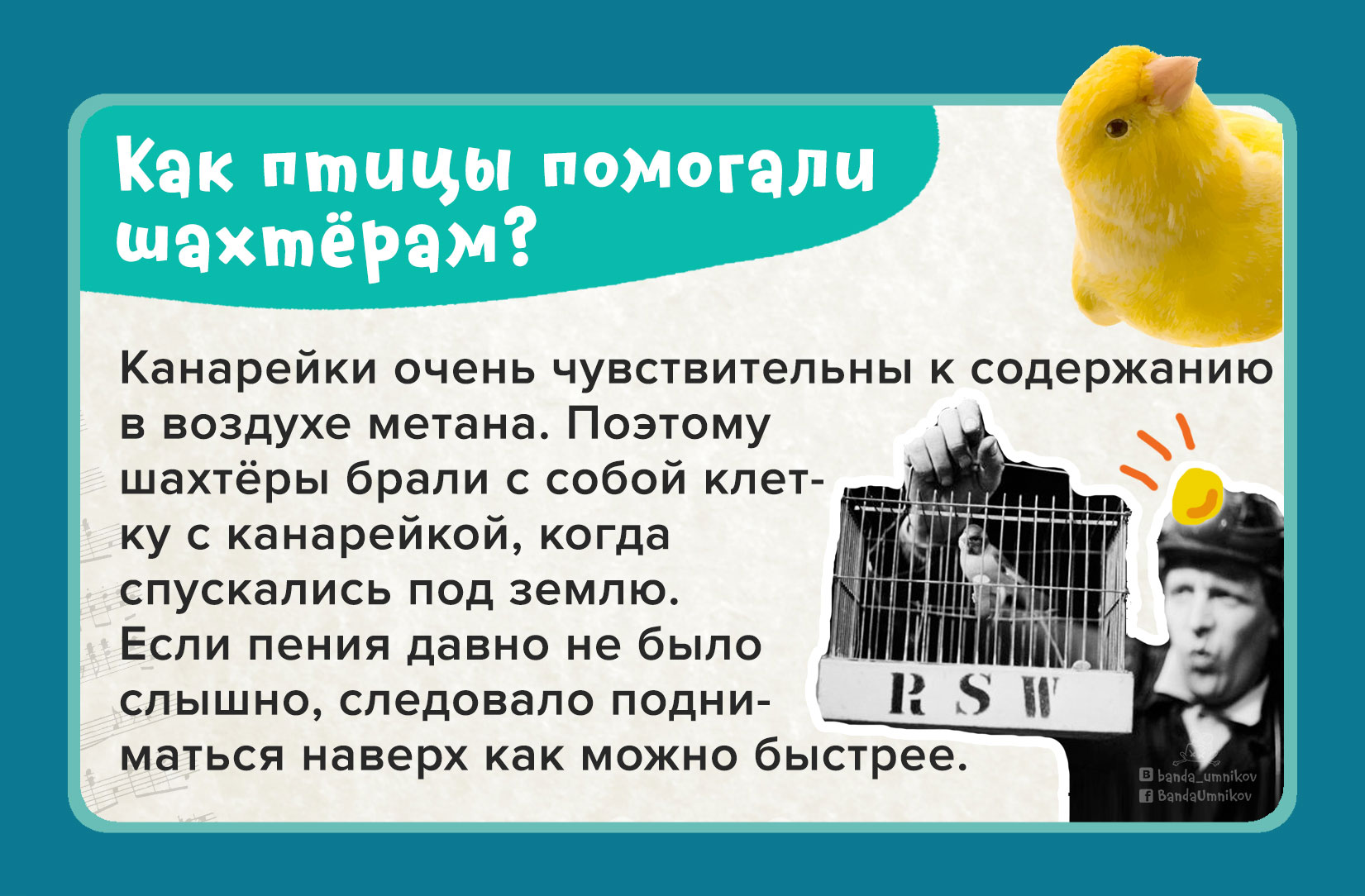 Химический опыт с изменением цвета раствора