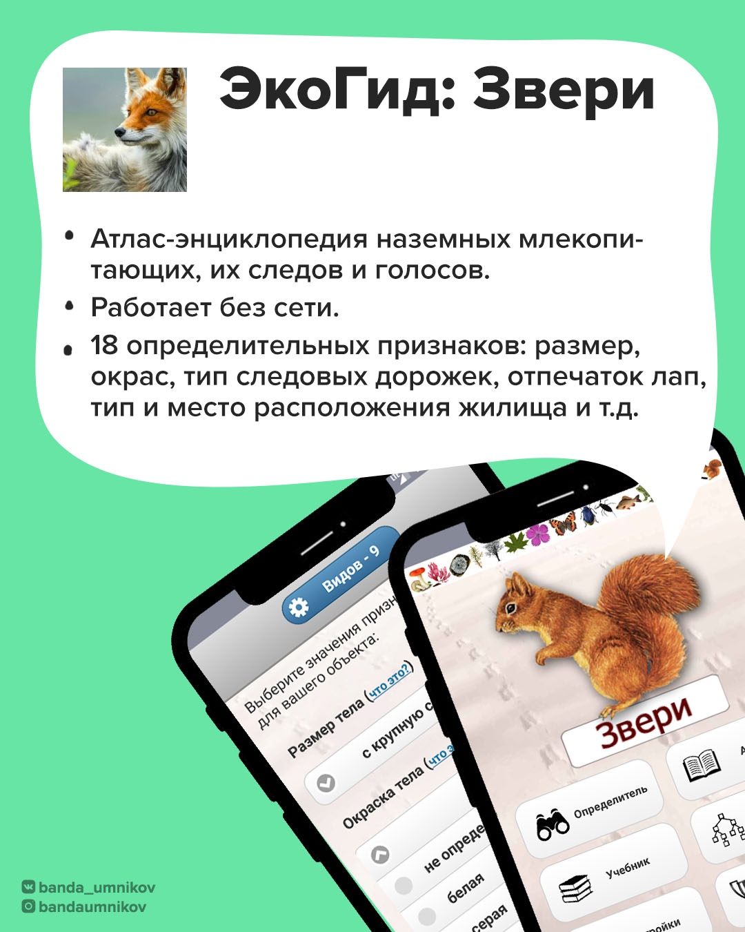 Интерфейс первого приложения для исследования природы