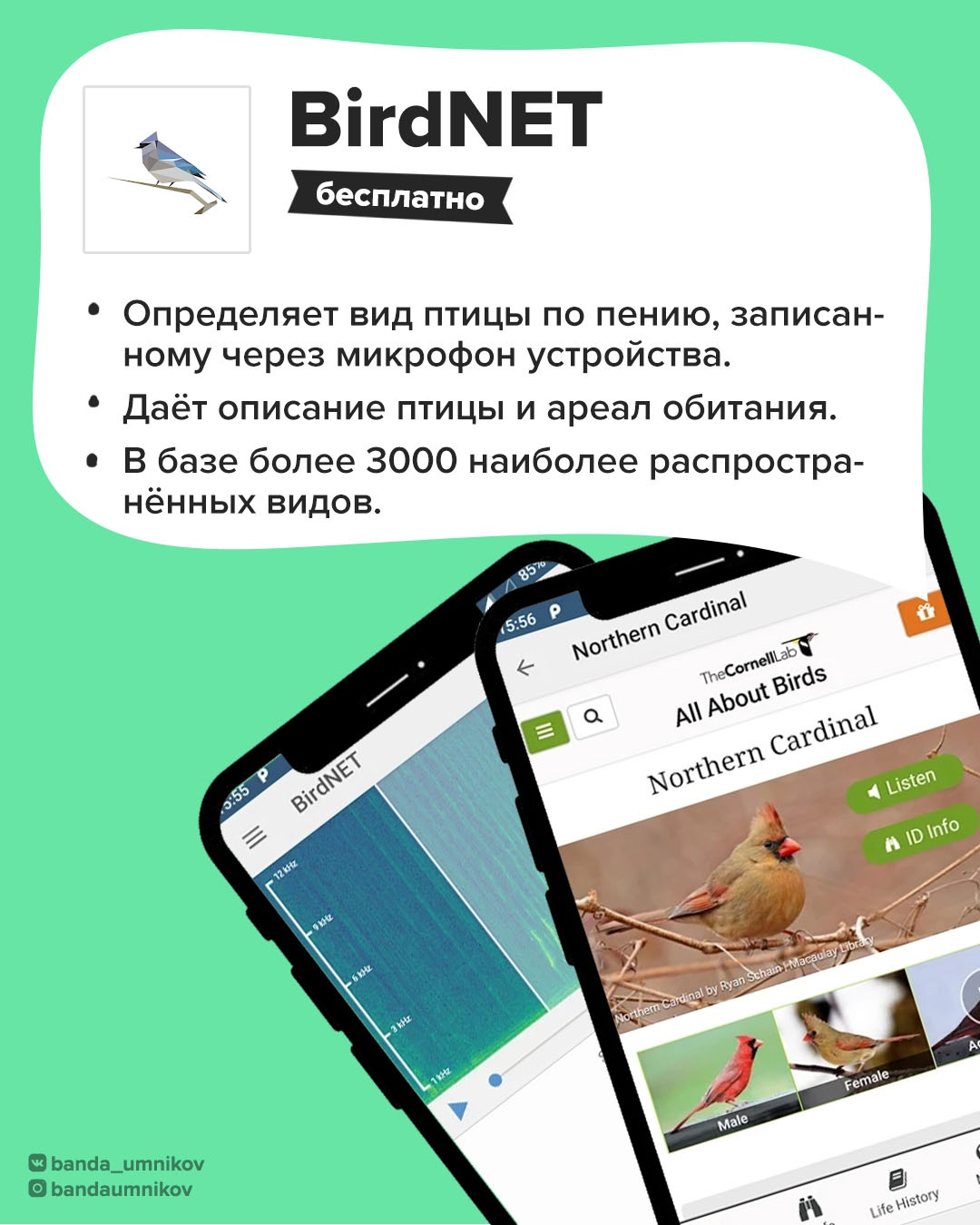 Интерфейс второго приложения для исследования природы