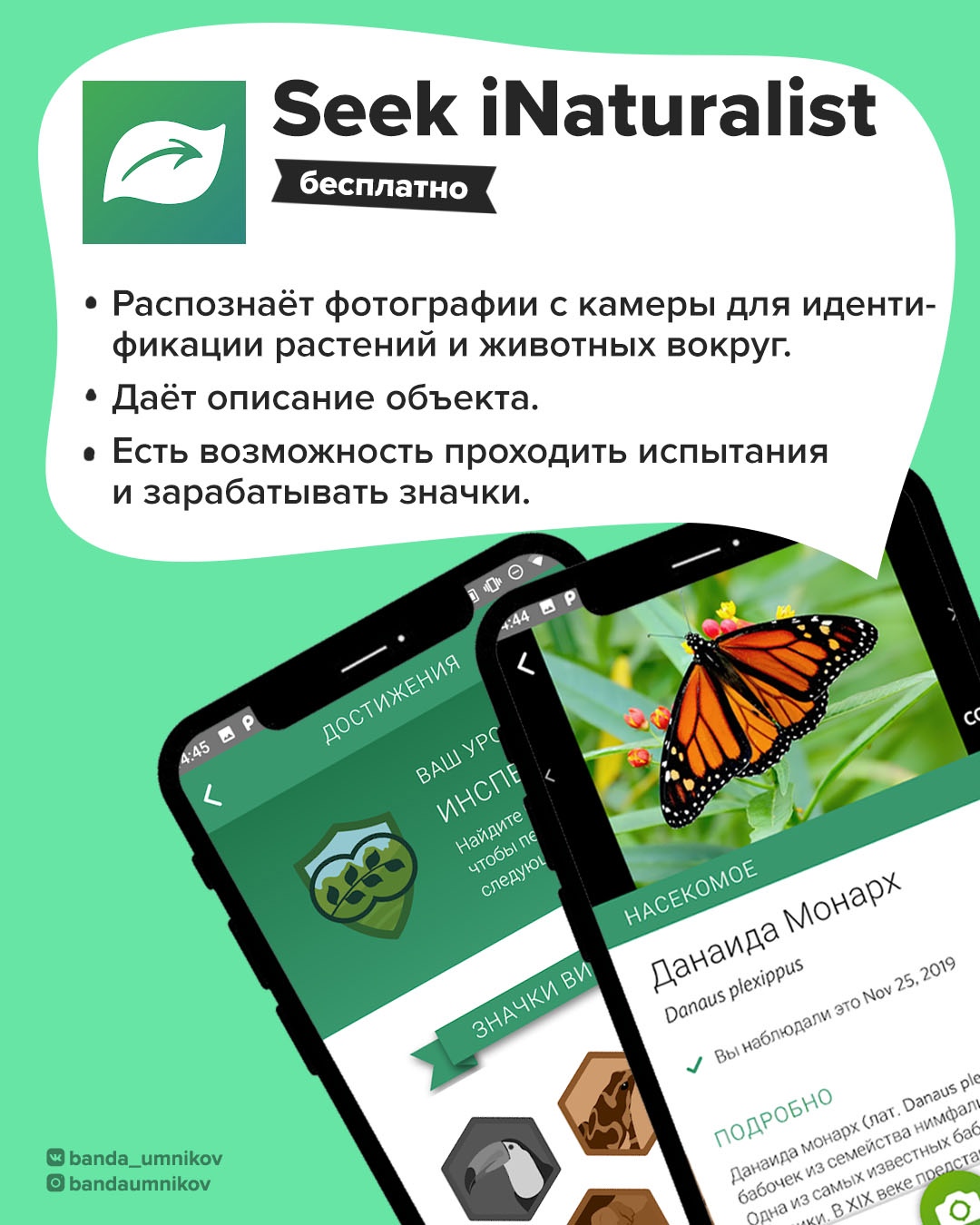 Интерфейс четвертого приложения для исследования природы