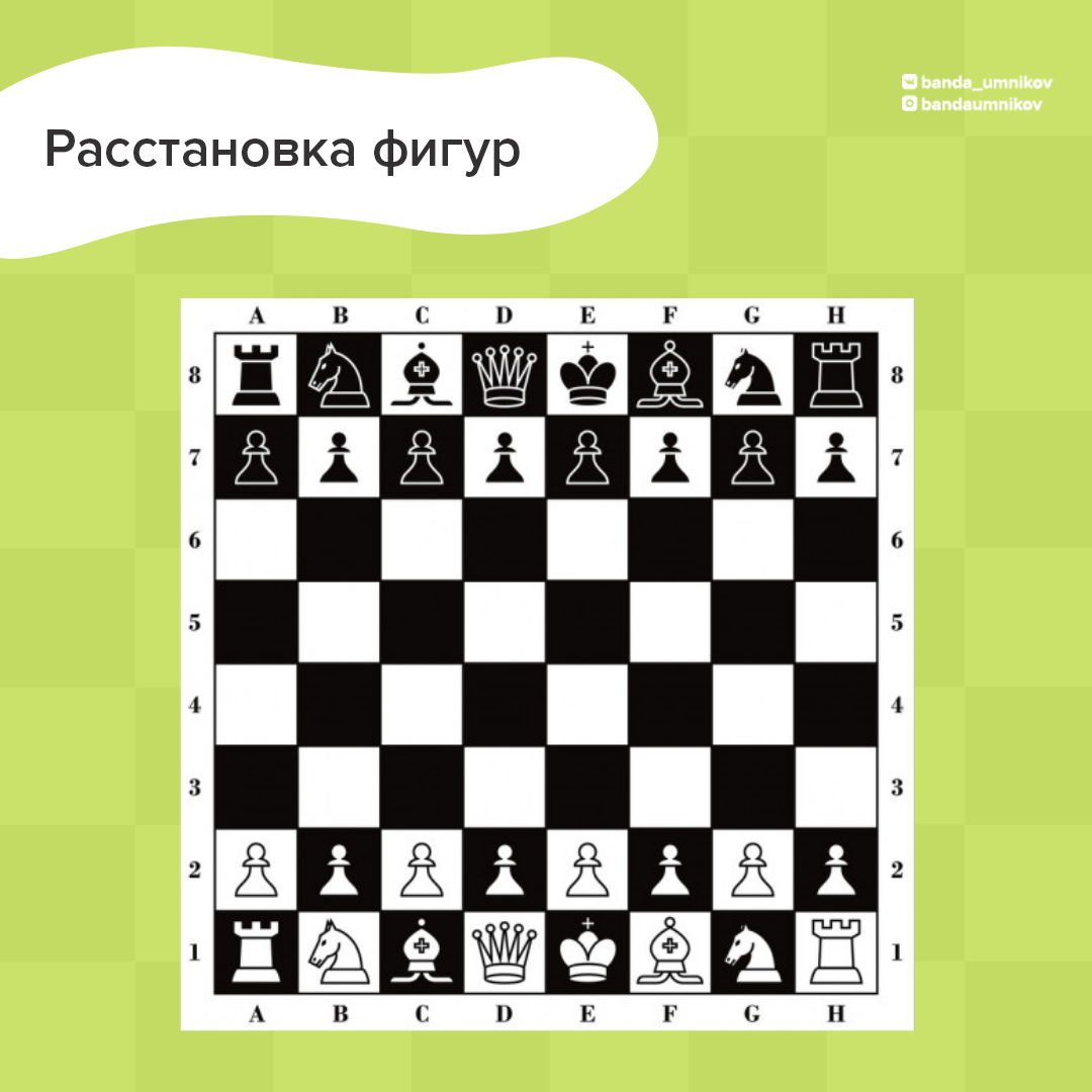 Шахматы с кубиком: игровой вариант для детей