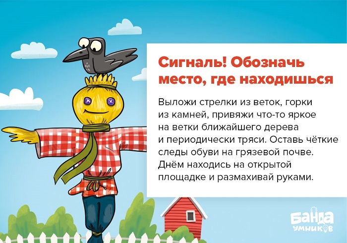 Тропинка в густом зелёном лесу