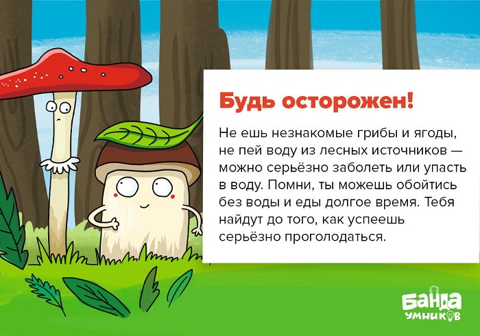 Свисток, фонарик и компас на пне