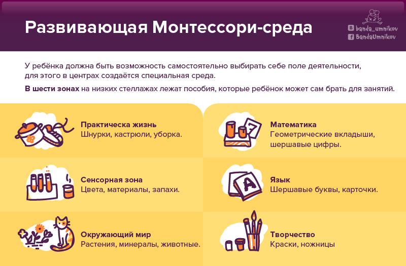 Инфографика о методе Монтессори: слайд 5