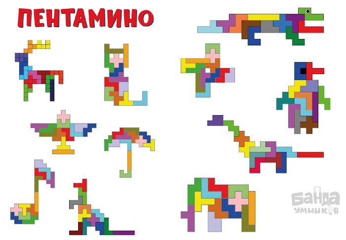 Набор из 12 деталей пентамино