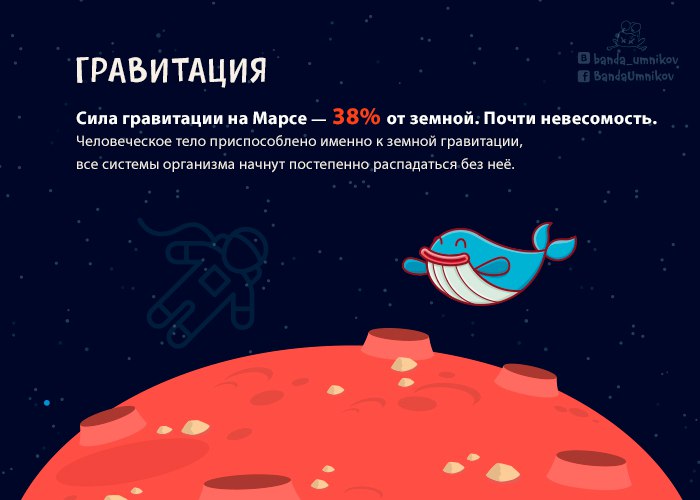 Иллюстрация внутреннего убранства марсианского жилья с оборудованием для выживания
