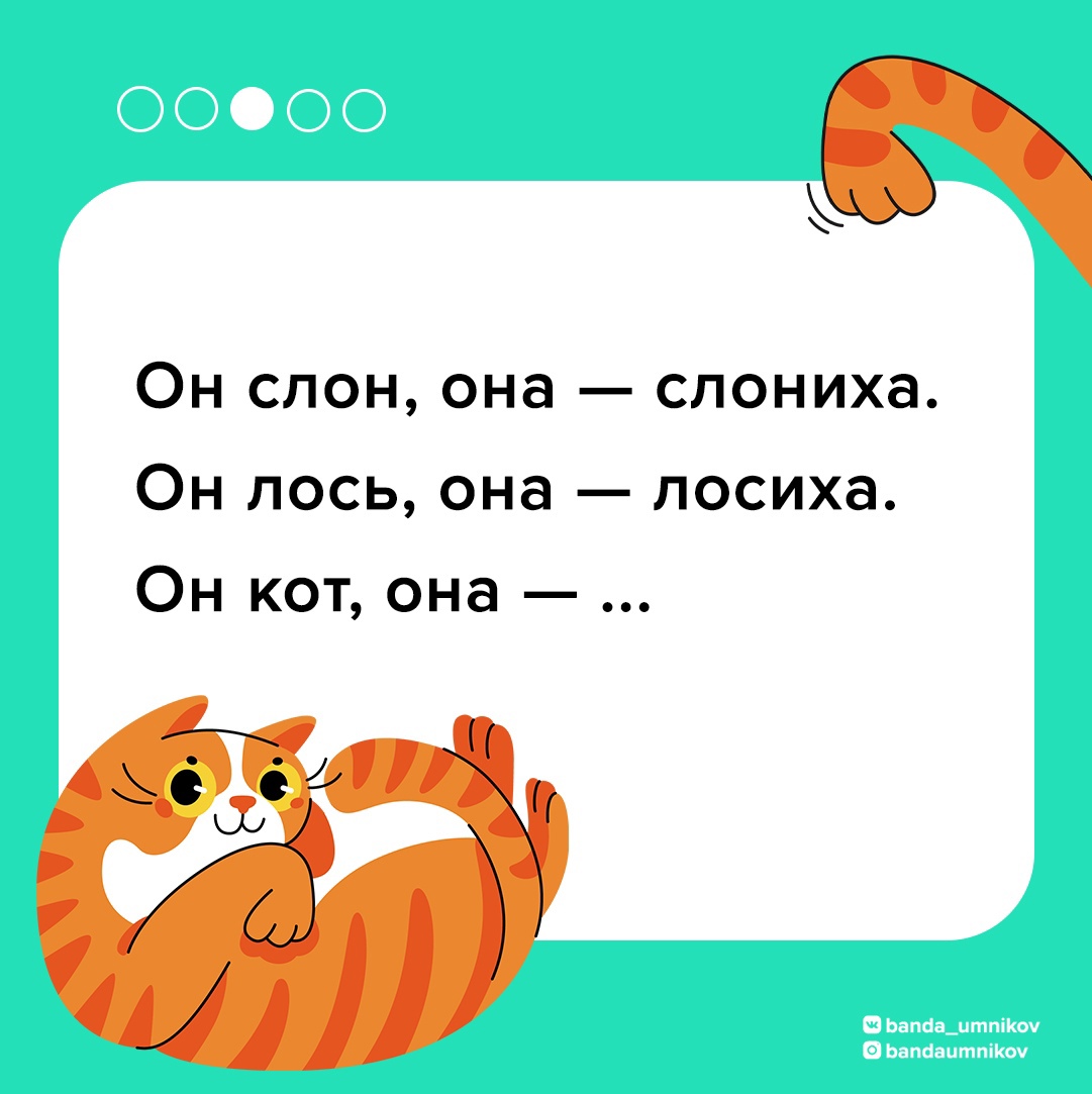 Загадка про кота