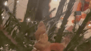 Новогодние семейные фанты