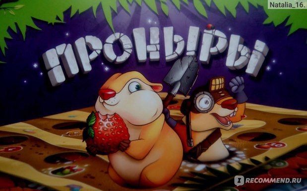 Название игры «Проныры» на коробке